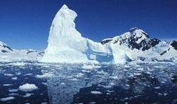 南极最新爆料视频大全集,最新爆料视频大全集深度解析