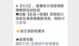 哈尔滨爆料最新消息今天,突发事件引发全城关注！