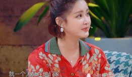 华晨宇张歆艺最新爆料,揭秘娱乐圈背后的故事