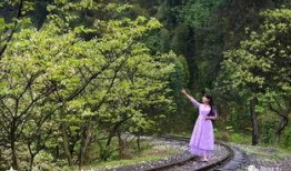 风景哥最新爆料视频,最新爆料视频带你领略绝美风景背后的故事