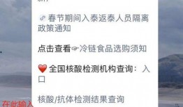 泰安核酸爆料事件真相最新,真相与反思