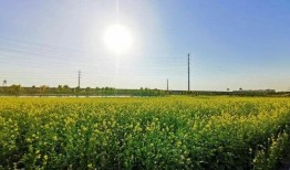 爆料半亩花田视频大全最新,视频大全中的护肤秘籍大公开