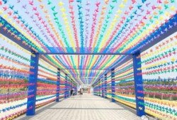 风车最新爆料,揭秘神秘项目背后的秘密与未来展望