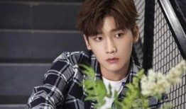 贾四鼎恋情爆料最新消息,神秘女友身份引热议