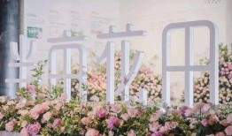 爆料半亩花田视频大全最新,视频大全中的护肤秘籍大公开