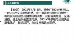 泰安核酸爆料事件真相最新,真相与反思