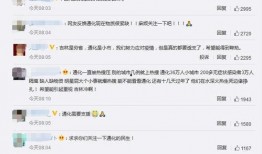 通化爆料最新消息新闻,聚焦重大新闻事件深度解析