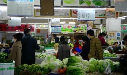 兰州菜市场最新爆料信息,探寻地道美食与民生百态