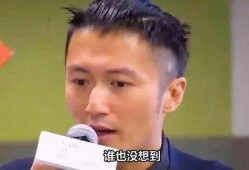 娱乐圈最新爆料谢霆锋,娱乐圈再掀波澜