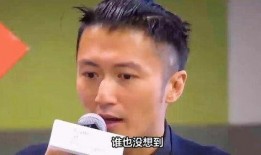 娱乐圈最新爆料谢霆锋,娱乐圈再掀波澜