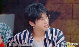 华晨宇张歆艺最新爆料,揭秘娱乐圈背后的故事