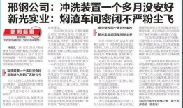 邢钢最新爆料新闻报道,揭秘企业变革背后的故事