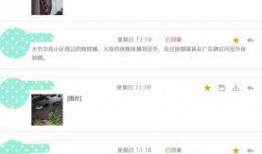 四代最新爆料,颠覆性设计，性能再升级，揭秘未来科技新篇章