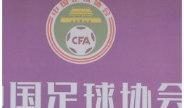 宝鸡爆料记者名单最新版,揭秘幕后英雄