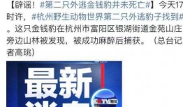 最新江苏热点爆料事件新闻,XX事件引发社会广泛关注