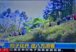 风景哥最新爆料视频,最新爆料视频带你领略绝美风景背后的故事