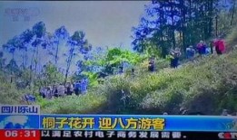 风景哥最新爆料视频,最新爆料视频带你领略绝美风景背后的故事