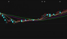 股票最新爆料新闻,重磅爆料揭示市场新趋势