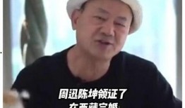 朱皮娱记最新爆料周迅,朱皮娱记独家揭秘